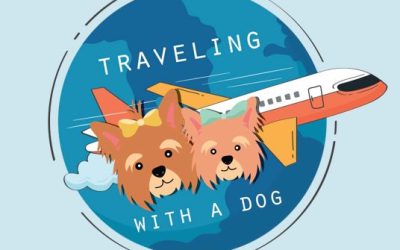 “Traveling with a dog” DogBlog – November 2023