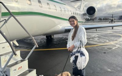“K9 Jets” DogBlog by Renaé Dawes